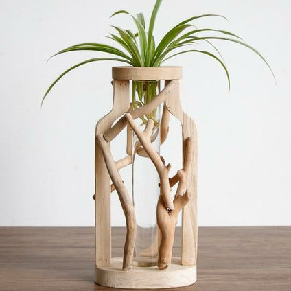 Driftwood Propagation Vase - Manna Home