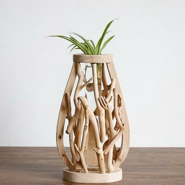 Driftwood Propagation Vase - Manna Home