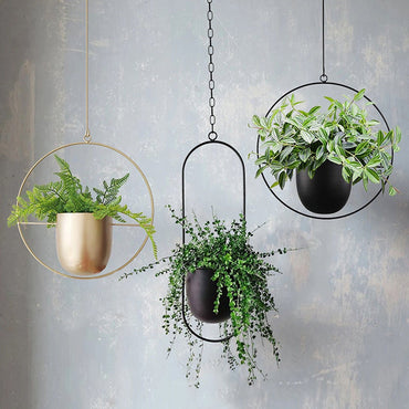 Floating Plant Hanger - Manna Home