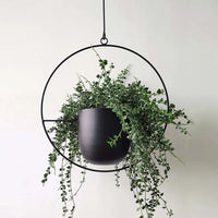 Floating Plant Hanger - Manna Home